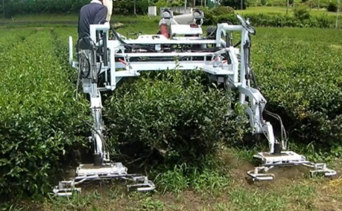 農研機構　茶園除草機を開発 手取作業を大幅に省力化